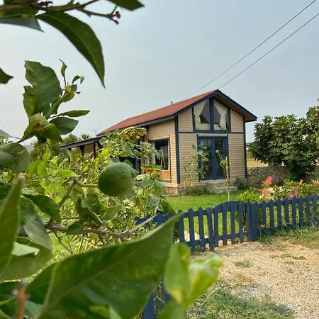 Villa Palaemon Yelken